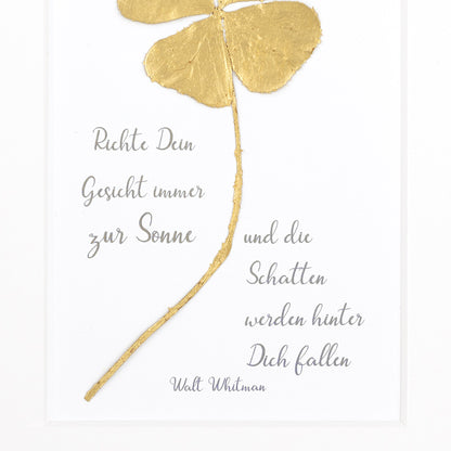 Richte Dein Gesicht immer zur Sonne und die Schatten werden hinter Dich fallen