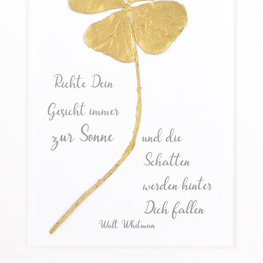 Richte Dein Gesicht immer zur Sonne und die Schatten werden hinter Dich fallen